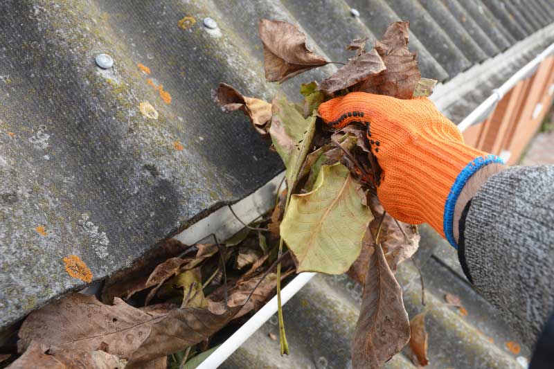 Gutter Cleaning Services in Airlie Beach