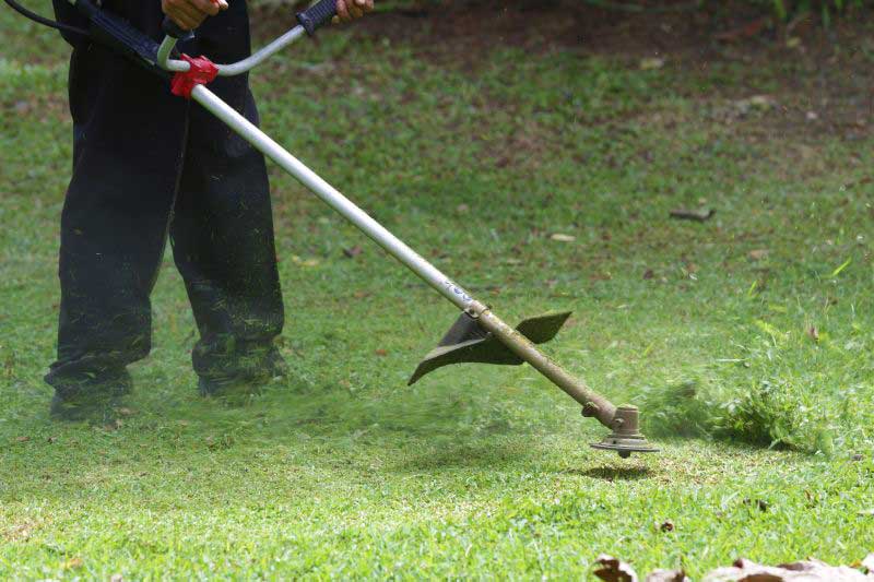 line trimmer cutting grass at a Whitsundays lawn mowing service 