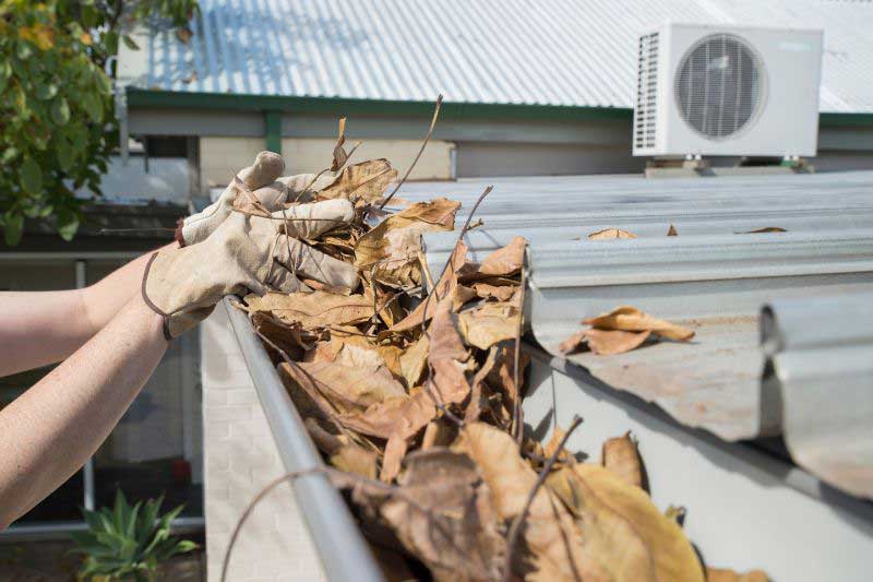 cleaning leaves out of a roof gutter 